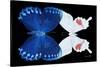 Miss Butterfly Duo Formohermos - X-Ray Black Edition-Philippe Hugonnard-Stretched Canvas