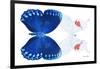 Miss Butterfly Duo Formohermos - X-Ray White Edition-Philippe Hugonnard-Framed Photographic Print