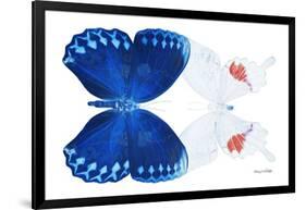 Miss Butterfly Duo Formohermos - X-Ray White Edition-Philippe Hugonnard-Framed Photographic Print