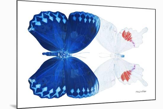 Miss Butterfly Duo Formohermos - X-Ray White Edition-Philippe Hugonnard-Mounted Photographic Print