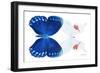 Miss Butterfly Duo Formohermos - X-Ray White Edition-Philippe Hugonnard-Framed Photographic Print