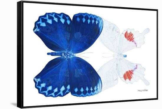 Miss Butterfly Duo Formohermos - X-Ray White Edition-Philippe Hugonnard-Framed Stretched Canvas