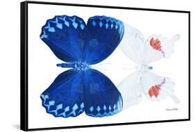 Miss Butterfly Duo Formohermos - X-Ray White Edition-Philippe Hugonnard-Framed Stretched Canvas