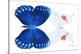 Miss Butterfly Duo Formohermos - X-Ray White Edition-Philippe Hugonnard-Stretched Canvas