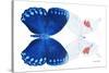 Miss Butterfly Duo Formohermos - X-Ray White Edition-Philippe Hugonnard-Stretched Canvas