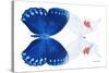 Miss Butterfly Duo Formohermos - X-Ray White Edition-Philippe Hugonnard-Stretched Canvas