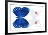 Miss Butterfly Duo Formohermos - X-Ray White Edition-Philippe Hugonnard-Framed Photographic Print