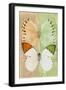 Miss Butterfly Duo Formoia - Dark Yellow & Lime Green-Philippe Hugonnard-Framed Photographic Print