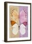 Miss Butterfly Duo Formoia - Dark Yellow & Pink-Philippe Hugonnard-Framed Photographic Print
