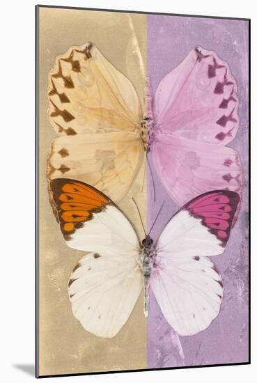 Miss Butterfly Duo Formoia - Dark Yellow & Pink-Philippe Hugonnard-Mounted Photographic Print