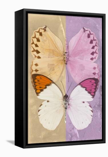 Miss Butterfly Duo Formoia - Dark Yellow & Pink-Philippe Hugonnard-Framed Stretched Canvas