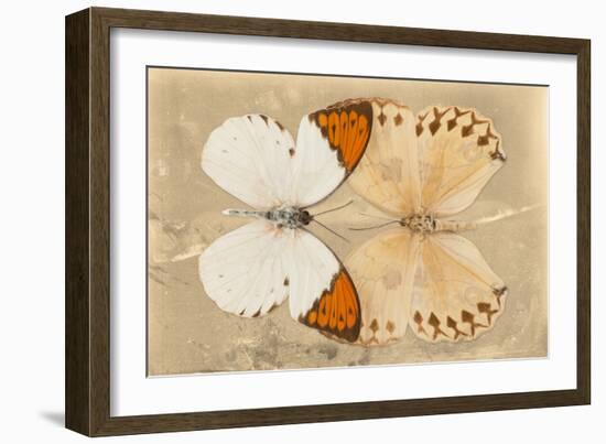 Miss Butterfly Duo Formoia - Dark Yellow-Philippe Hugonnard-Framed Photographic Print