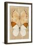 Miss Butterfly Duo Formoia II - Dark Yellow-Philippe Hugonnard-Framed Photographic Print