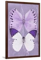 Miss Butterfly Duo Formoia II - Mauve-Philippe Hugonnard-Framed Photographic Print