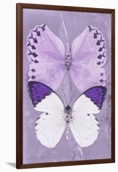 Miss Butterfly Duo Formoia II - Mauve-Philippe Hugonnard-Framed Photographic Print