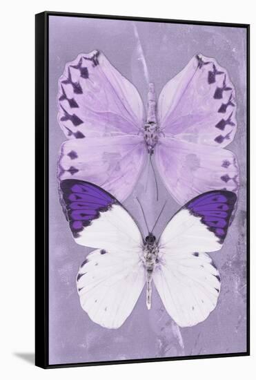 Miss Butterfly Duo Formoia II - Mauve-Philippe Hugonnard-Framed Stretched Canvas