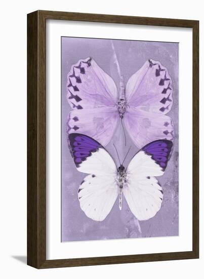 Miss Butterfly Duo Formoia II - Mauve-Philippe Hugonnard-Framed Photographic Print