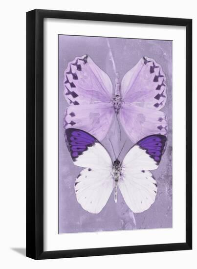 Miss Butterfly Duo Formoia II - Mauve-Philippe Hugonnard-Framed Photographic Print