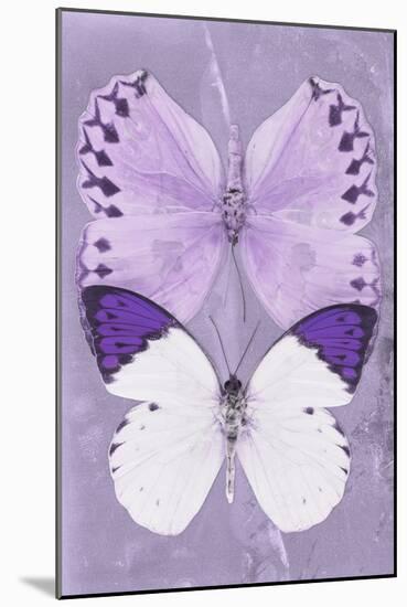 Miss Butterfly Duo Formoia II - Mauve-Philippe Hugonnard-Mounted Photographic Print