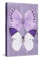 Miss Butterfly Duo Formoia II - Mauve-Philippe Hugonnard-Stretched Canvas