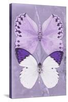 Miss Butterfly Duo Formoia II - Mauve-Philippe Hugonnard-Stretched Canvas