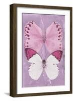 Miss Butterfly Duo Formoia II - Pink-Philippe Hugonnard-Framed Photographic Print