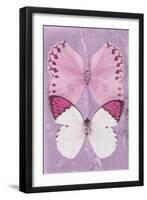 Miss Butterfly Duo Formoia II - Pink-Philippe Hugonnard-Framed Photographic Print