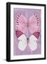 Miss Butterfly Duo Formoia II - Pink-Philippe Hugonnard-Framed Photographic Print