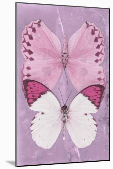 Miss Butterfly Duo Formoia II - Pink-Philippe Hugonnard-Mounted Photographic Print