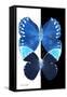 Miss Butterfly Duo Formoia II - X-Ray B&W Edition-Philippe Hugonnard-Framed Stretched Canvas