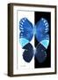 Miss Butterfly Duo Formoia II - X-Ray B&W Edition-Philippe Hugonnard-Framed Photographic Print