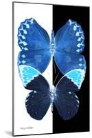 Miss Butterfly Duo Formoia II - X-Ray B&W Edition-Philippe Hugonnard-Mounted Photographic Print