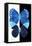 Miss Butterfly Duo Formoia II - X-Ray B&W Edition-Philippe Hugonnard-Framed Stretched Canvas