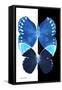 Miss Butterfly Duo Formoia II - X-Ray B&W Edition-Philippe Hugonnard-Framed Stretched Canvas