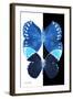 Miss Butterfly Duo Formoia II - X-Ray B&W Edition-Philippe Hugonnard-Framed Photographic Print