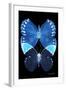 Miss Butterfly Duo Formoia II - X-Ray Black Edition-Philippe Hugonnard-Framed Photographic Print