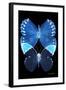 Miss Butterfly Duo Formoia II - X-Ray Black Edition-Philippe Hugonnard-Framed Photographic Print