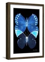 Miss Butterfly Duo Formoia II - X-Ray Black Edition-Philippe Hugonnard-Framed Photographic Print