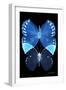 Miss Butterfly Duo Formoia II - X-Ray Black Edition-Philippe Hugonnard-Framed Photographic Print
