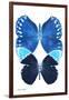 Miss Butterfly Duo Formoia II - X-Ray White Edition-Philippe Hugonnard-Framed Photographic Print