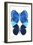 Miss Butterfly Duo Formoia II - X-Ray White Edition-Philippe Hugonnard-Framed Photographic Print