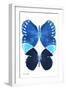 Miss Butterfly Duo Formoia II - X-Ray White Edition-Philippe Hugonnard-Framed Photographic Print