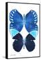 Miss Butterfly Duo Formoia II - X-Ray White Edition-Philippe Hugonnard-Framed Stretched Canvas