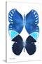 Miss Butterfly Duo Formoia II - X-Ray White Edition-Philippe Hugonnard-Stretched Canvas