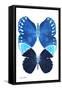 Miss Butterfly Duo Formoia II - X-Ray White Edition-Philippe Hugonnard-Framed Stretched Canvas