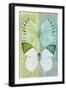 Miss Butterfly Duo Formoia - Lime Green & Coral Green-Philippe Hugonnard-Framed Photographic Print