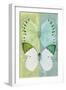 Miss Butterfly Duo Formoia - Lime Green & Coral Green-Philippe Hugonnard-Framed Photographic Print