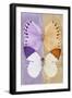 Miss Butterfly Duo Formoia - Mauve & Dark Yellow-Philippe Hugonnard-Framed Photographic Print