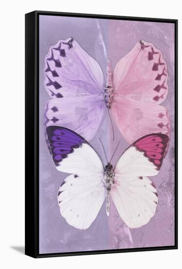 Miss Butterfly Duo Formoia - Mauve & Pink-Philippe Hugonnard-Framed Stretched Canvas