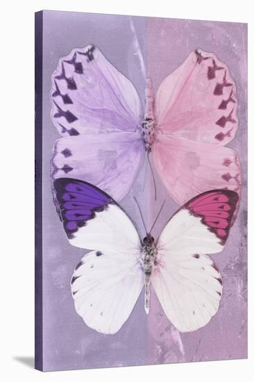 Miss Butterfly Duo Formoia - Mauve & Pink-Philippe Hugonnard-Stretched Canvas